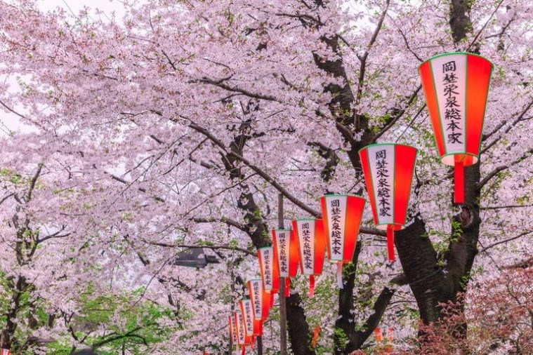 Tour Nhật Bản: Kobe - Osaka - Kyoto - Fuji Mount - Yamanashi - Tokyo Khởi Hành Từ Đà Nẵng